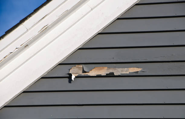 Best Siding Painting and Refinishing  in Mabton, WA